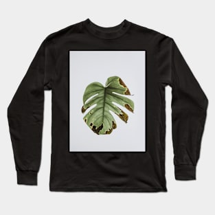 Monstera, Leaf, Green, Plant, Tropical, Nature print Long Sleeve T-Shirt